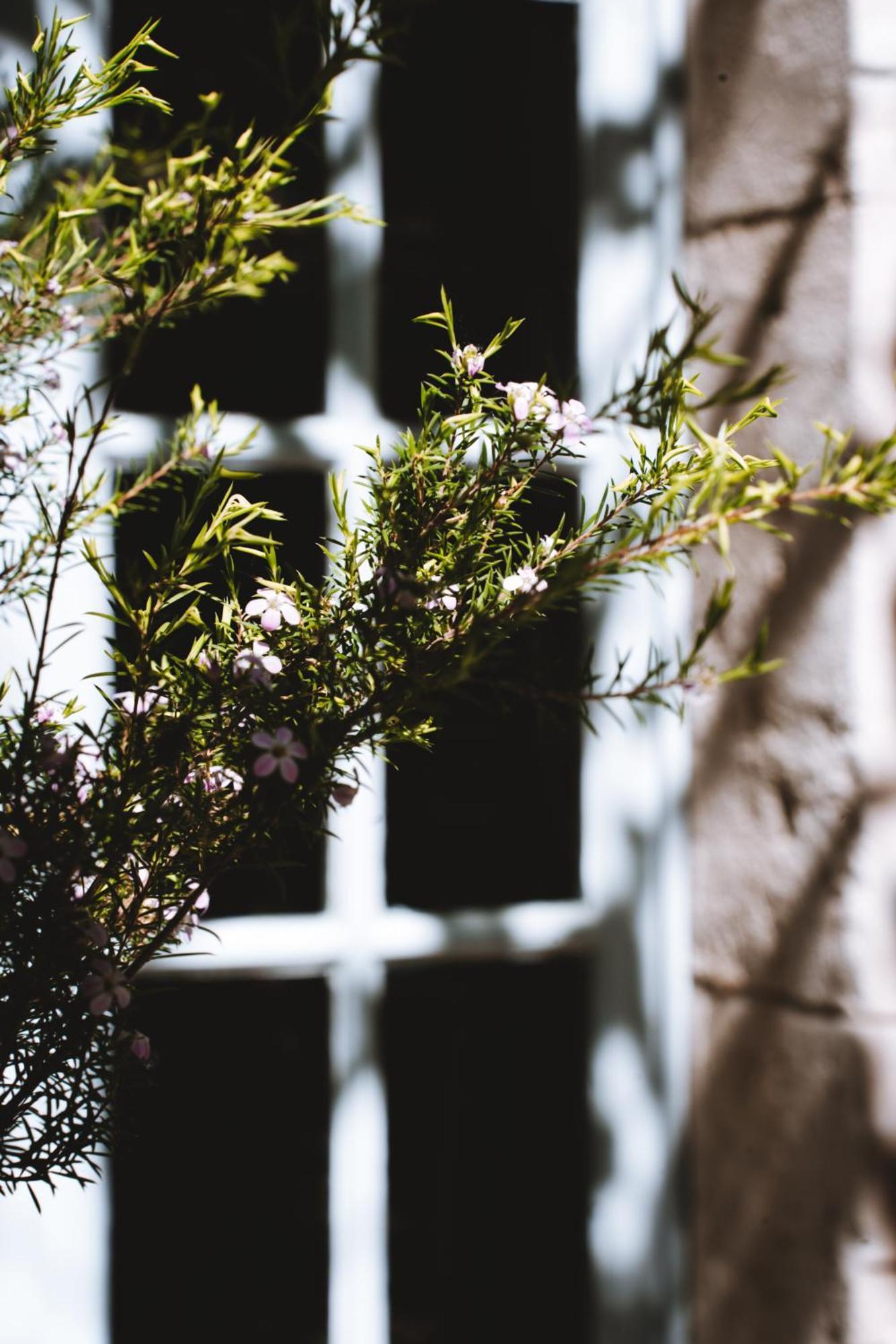 Bastide Rose Le Thor Exterior foto